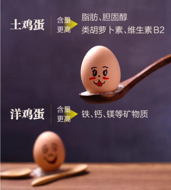 一天吃几个鸡蛋好？蛋黄能吃吗？这8个误区别再踩了→