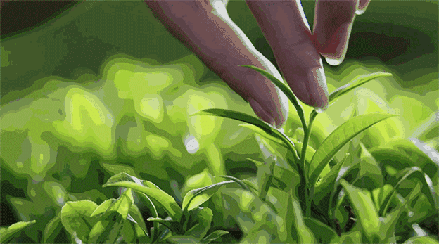 陕西紫阳富硒茶地点(陕西省紫阳富硒茶业有限公司)-硒宝网