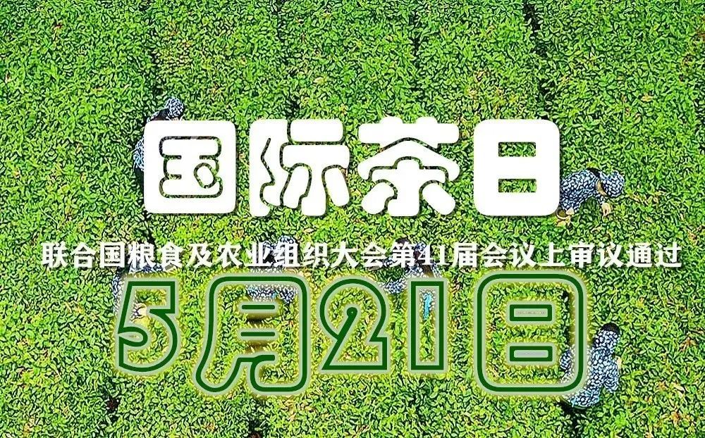 紫阳茶富硒礼盒价格