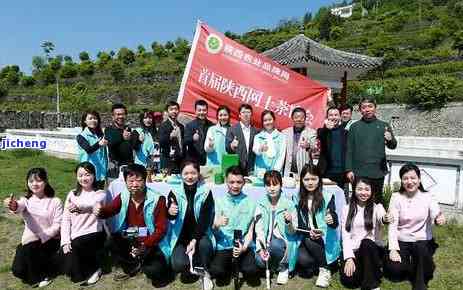 富硒茶是什么茶？详解恩、紫阳富硒茶的区别与特点