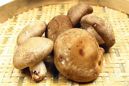 鱼鳞可以补钙吗(补钙鱼鳞可以吃吗)-硒宝网