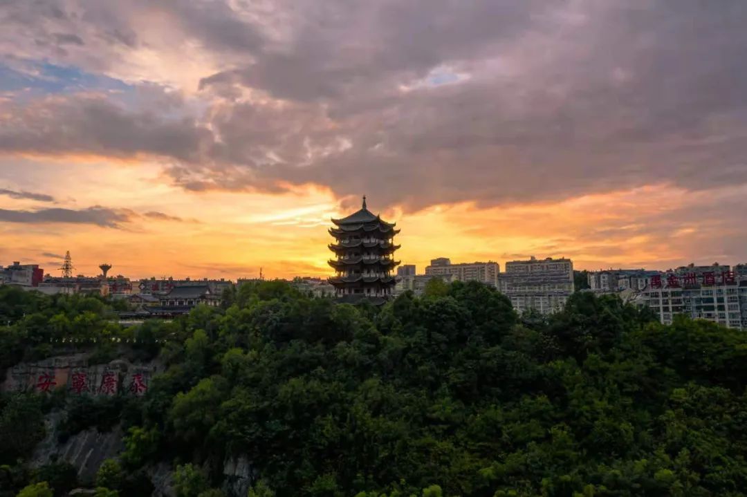 天然富硒茶产在何处