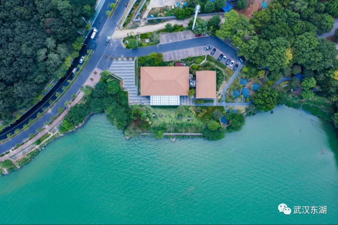 石台富硒茶如何泡制