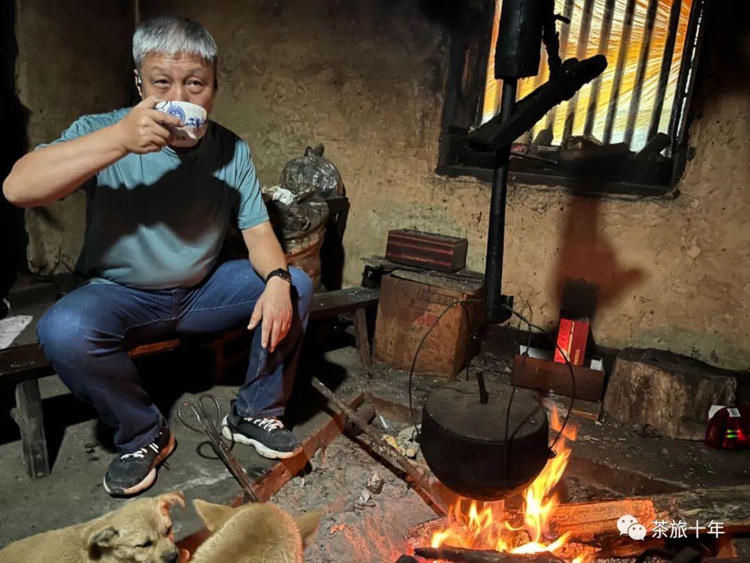 陇南的富硒茶是什么(富硒茶产地在哪里)-硒宝网