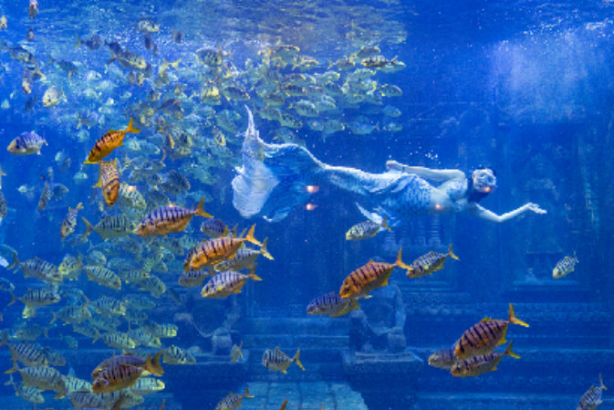 广西大藤峡 富硒茶(富硒藤茶产在哪里)-硒宝网