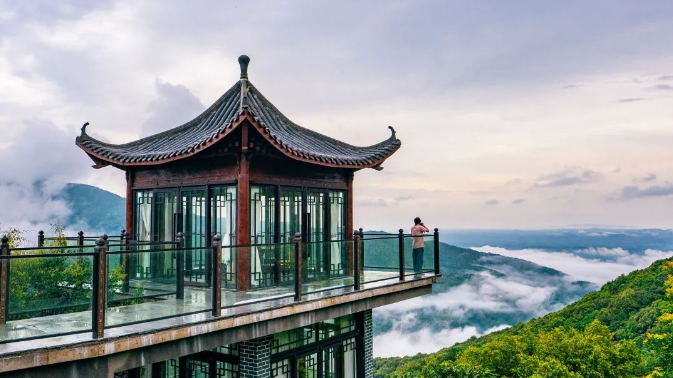 广西大藤峡 富硒茶(富硒藤茶产在哪里)-硒宝网