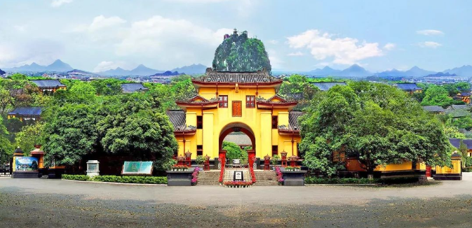 广西大藤峡 富硒茶(富硒藤茶产在哪里)-硒宝网