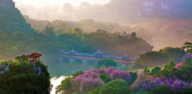 广西大藤峡 富硒茶(富硒藤茶产在哪里)-硒宝网