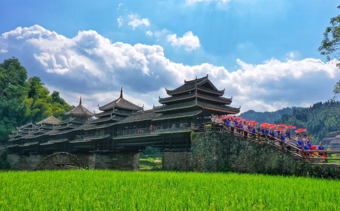 广西大藤峡 富硒茶(富硒藤茶产在哪里)-硒宝网