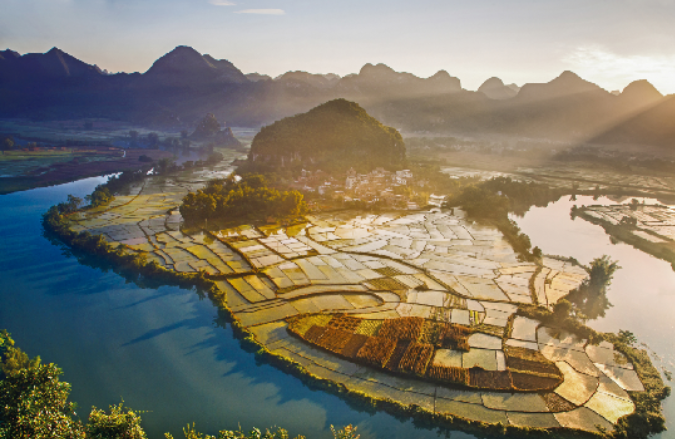 广西大藤峡 富硒茶(富硒藤茶产在哪里)-硒宝网