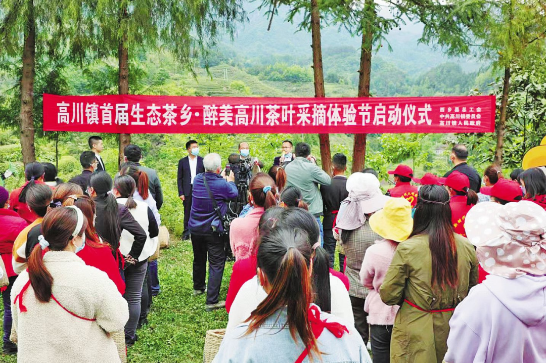 富硒茶 天热无污染