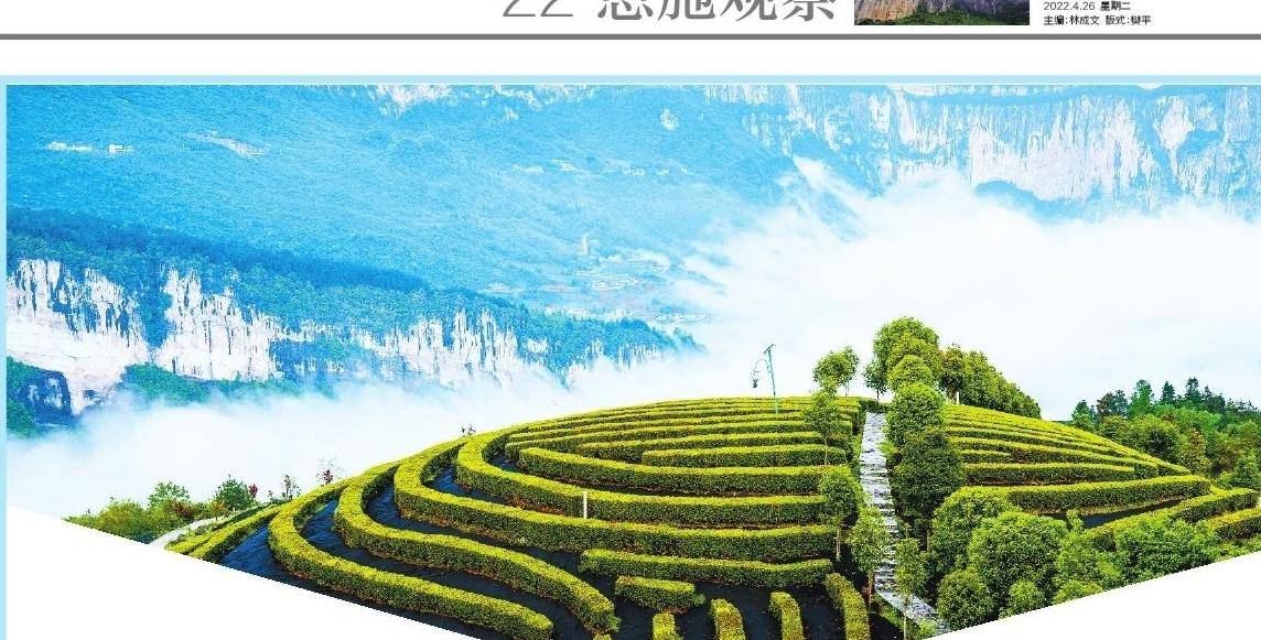 重庆城口富硒茶产地