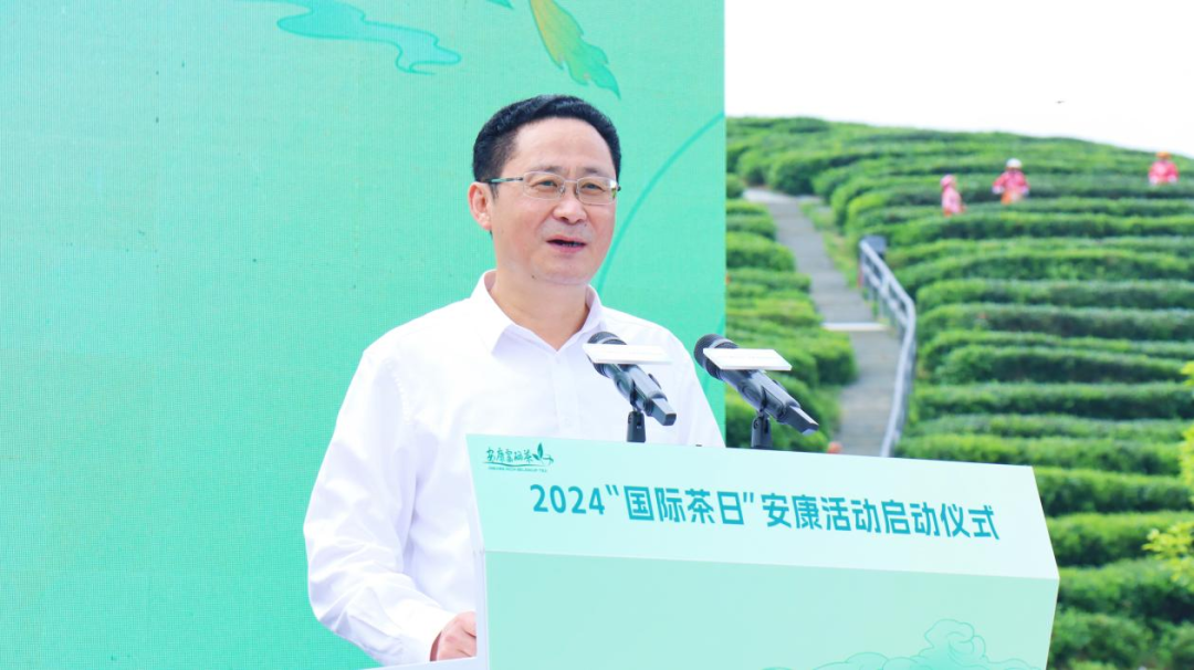安康茶金富硒茯茶素