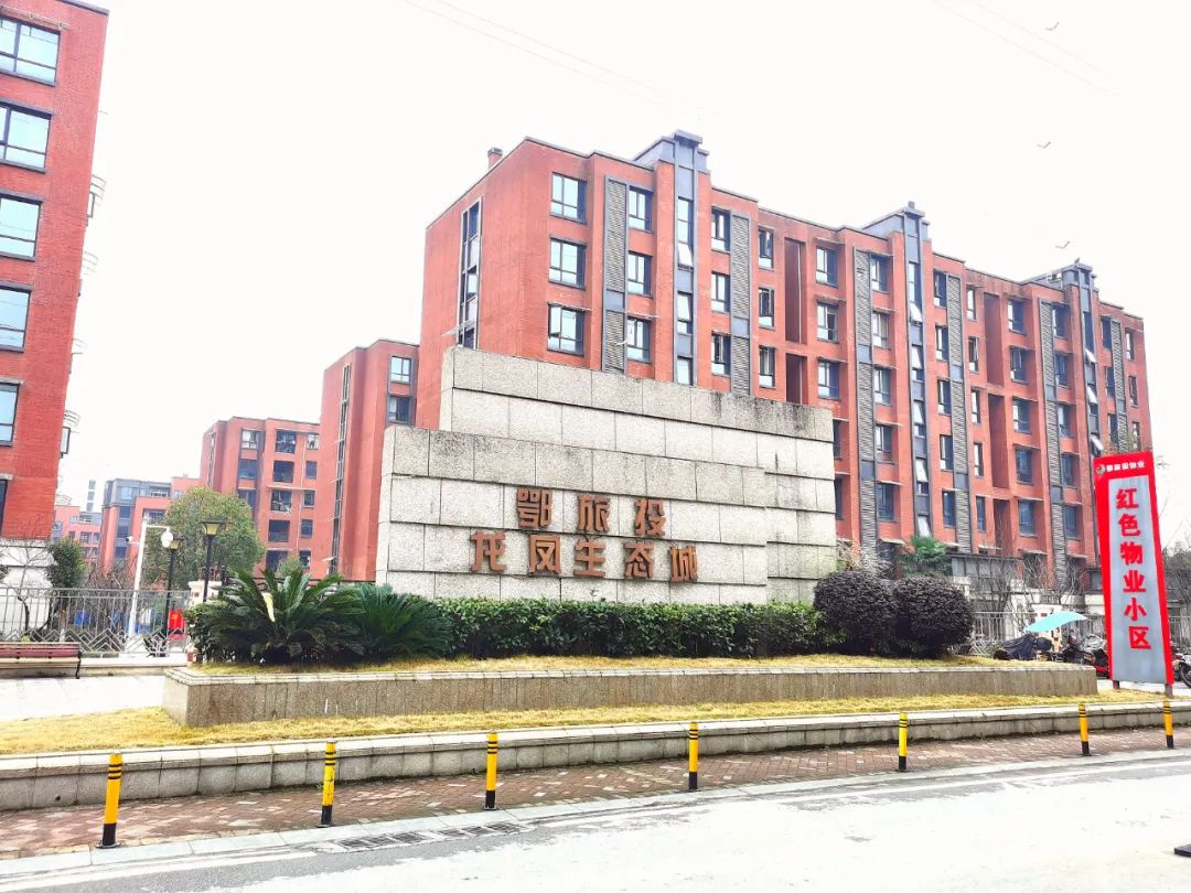 恩施富硒茶宣传标语