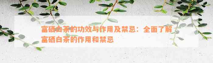 富硒白茶的功效与作用及禁忌：全面熟悉富硒白茶的作用和禁忌
