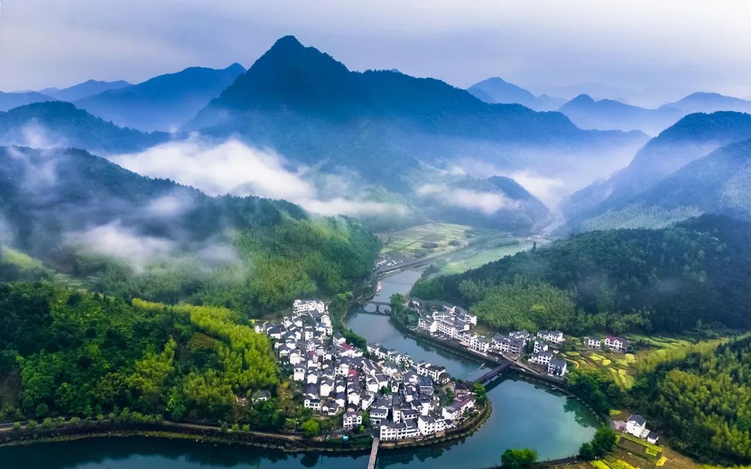 绿水青山紫阳富硒茶