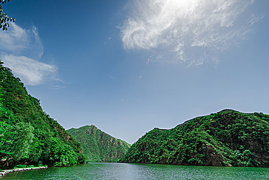 绿水青山紫阳富硒茶