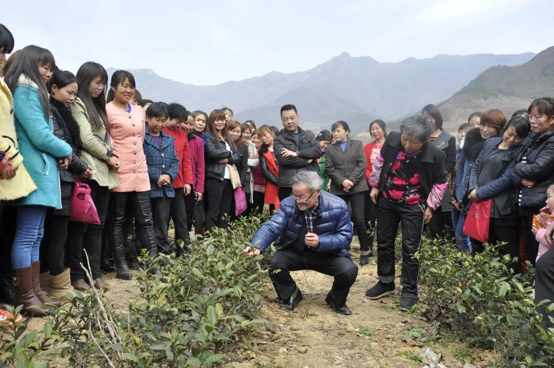 富硒茶对顾客的要求