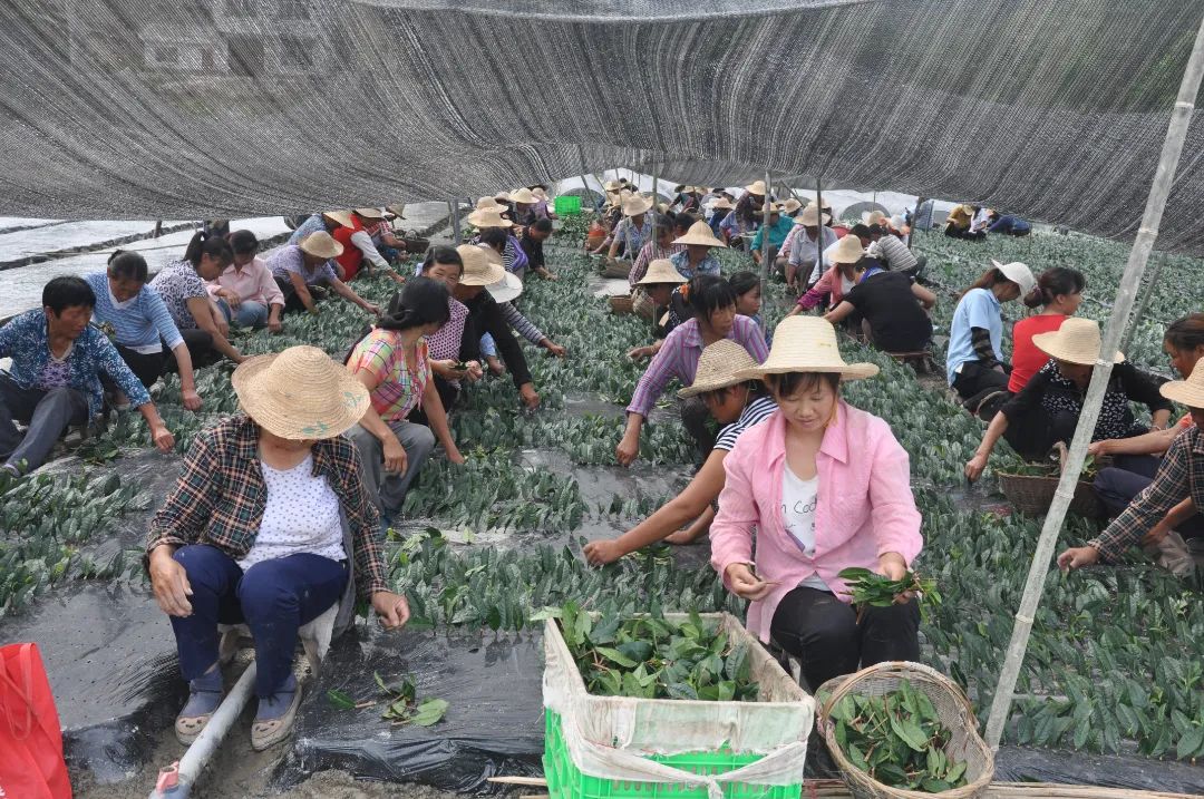 富硒茶对顾客的要求