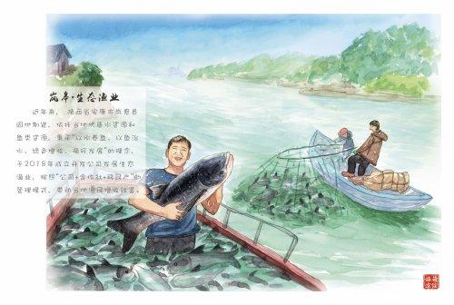 紫阳富硒茶的简笔画