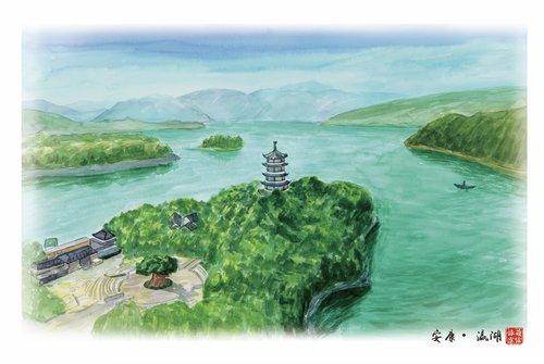 紫阳富硒茶的简笔画