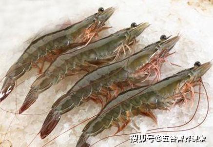 50多岁吃什么钙片补钙效果好