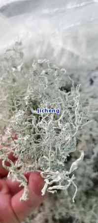 富硒藤茶的功效与作用，揭秘富硒藤茶的神奇功效与作用，你一定要知道！