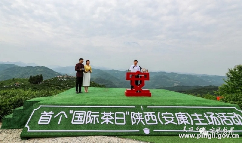 陕西富硒茶在哪个山