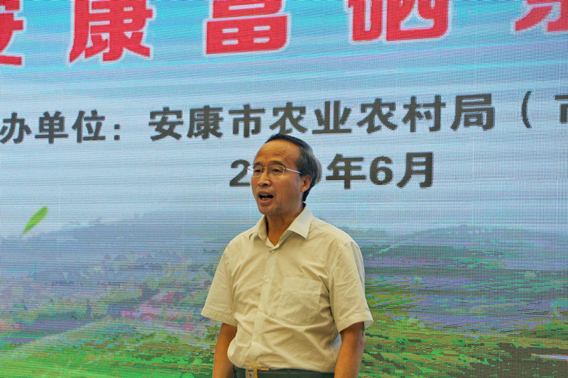 安康富硒茶历史文化