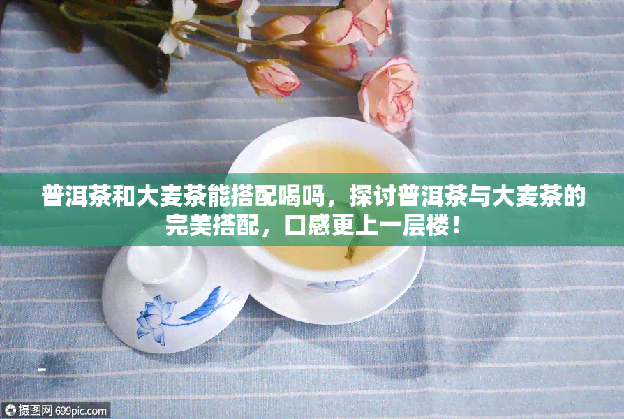 普洱茶和大麦茶能搭配喝吗，探讨普洱茶与大麦茶的完美搭配，口感更上一层楼！