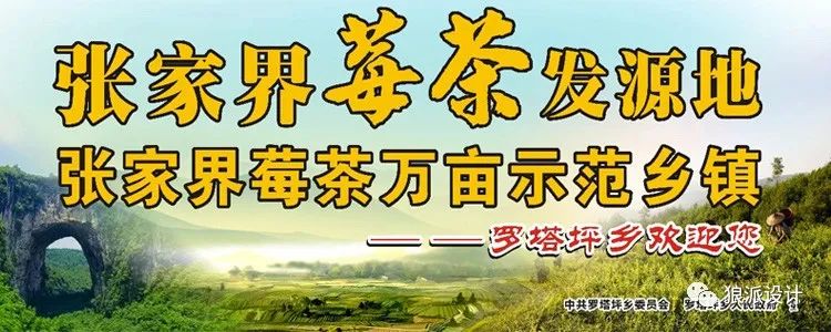 野生富硒藤茶的功效(野生富硒藤茶的功效)-硒宝网