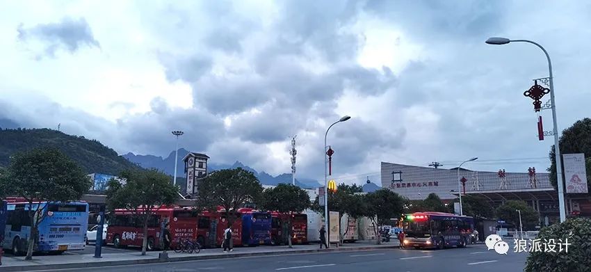 野生富硒藤茶的功效(野生富硒藤茶的功效)-硒宝网