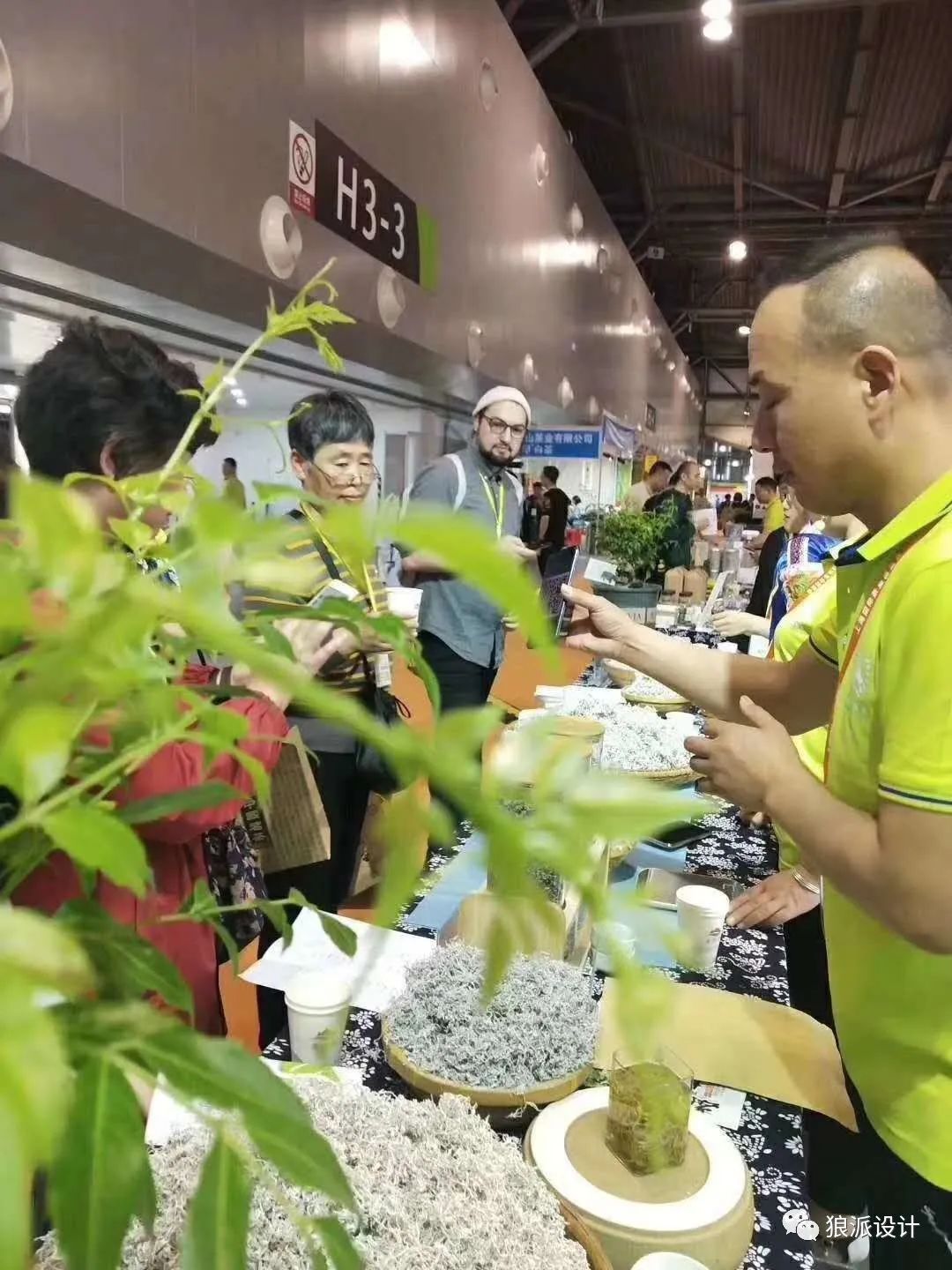 野生富硒藤茶的功效(野生富硒藤茶的功效)-硒宝网