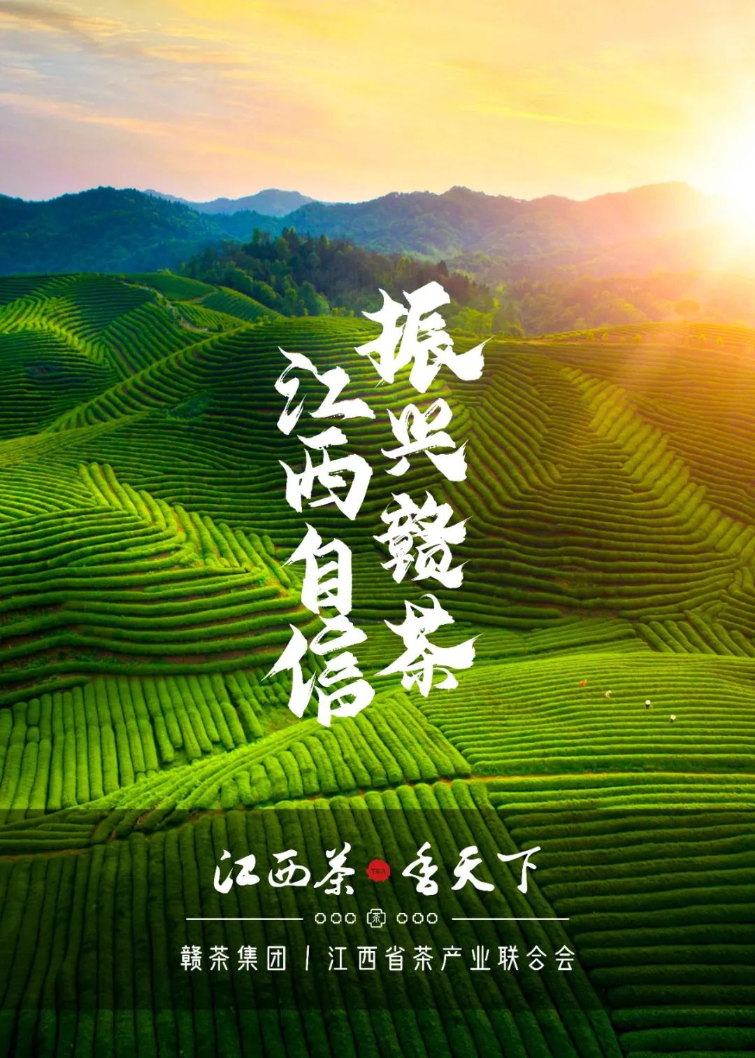 富硒茶国际市场现状