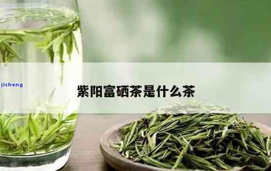 紫阳富硒茶是什么茶，「紫阳富硒茶」是什么茶？探究其产地、特点与功效