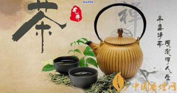 冬茶属于什么茶-冬茶属于什么茶类