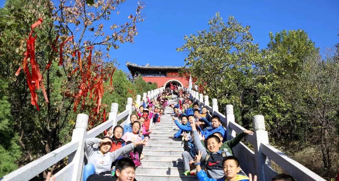 瀚林春 有机富硒茶