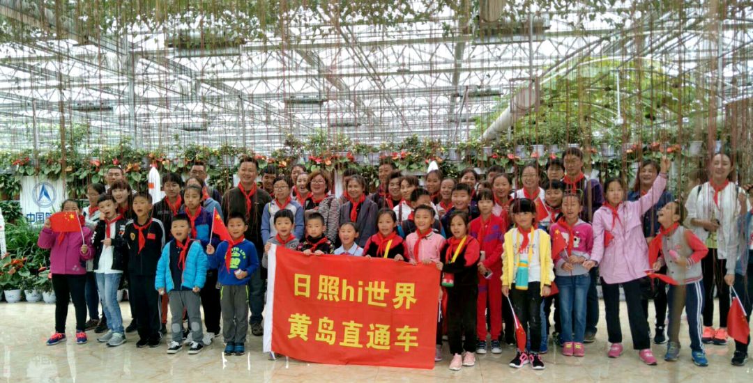 瀚林春 有机富硒茶