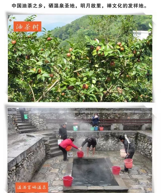 结婚适合送富硒茶吗