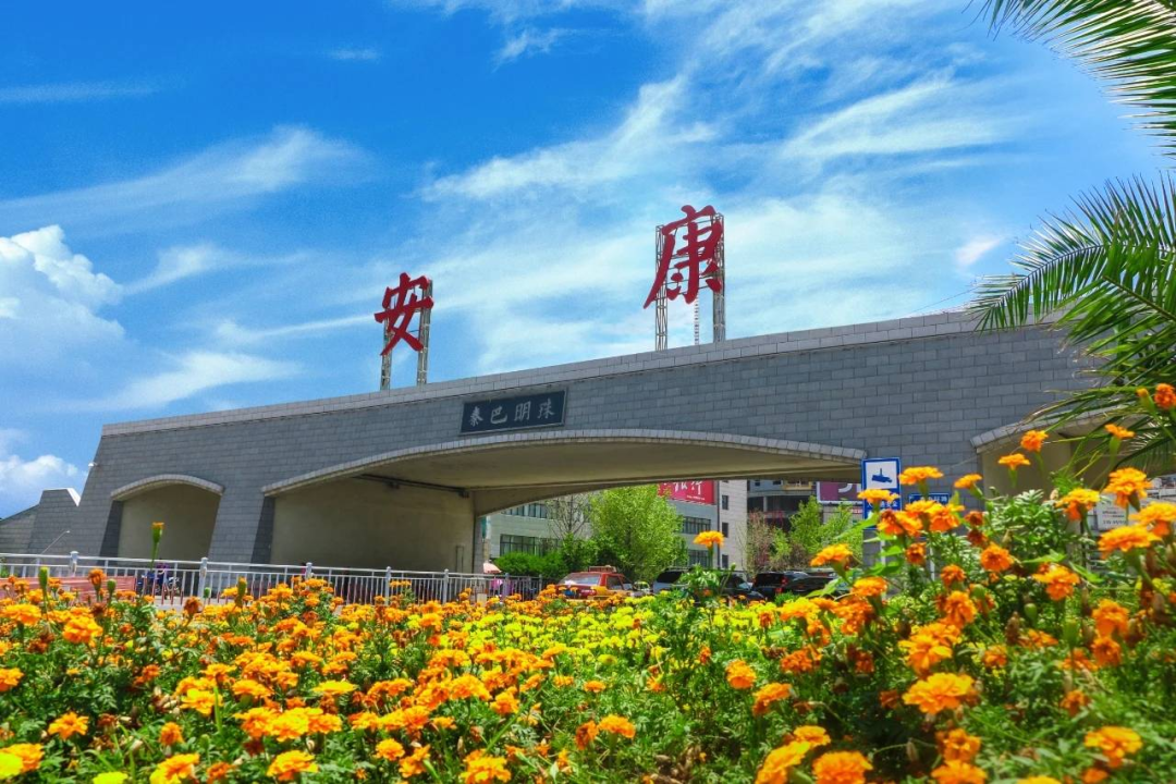 安康富硒茶交易中心