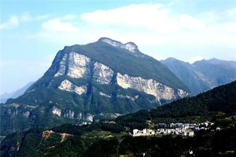富硒野生茶是哪里的