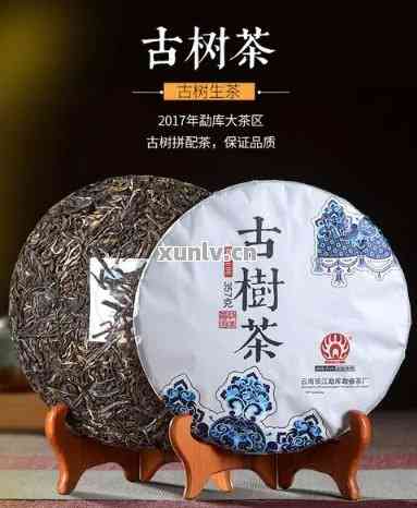 吉林古树普洱茶批发地址查询，【吉林】哪里有古树普洱茶批发？最新地址大全！