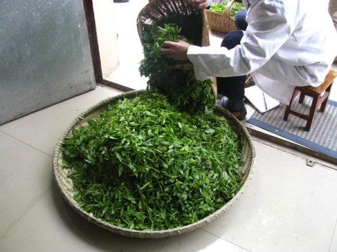 比龙井还好的富硒茶