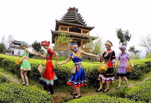 恩施富硒茶回甘持久