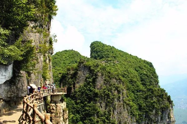 恩施富硒茶回甘持久