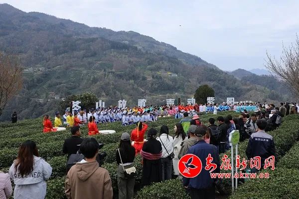 紫阳富硒茶发展趋势