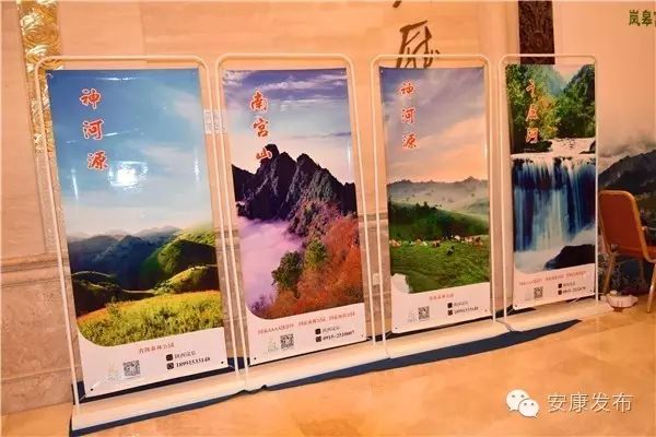 安康周林生态富硒茶