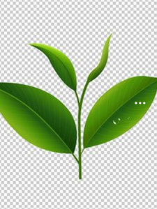 达州富硒茶哪里有卖(四川富硒茶)-硒宝网