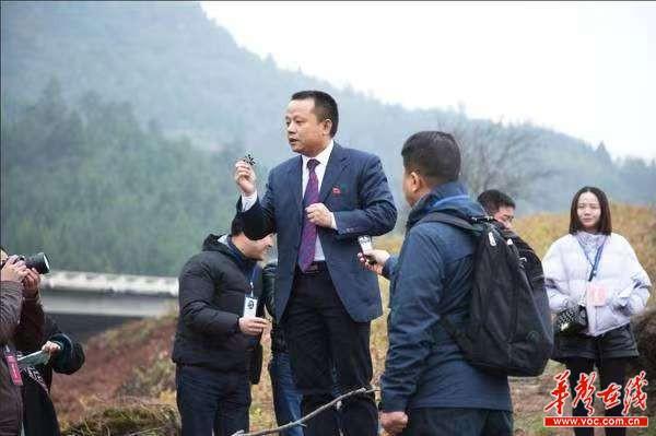 张家界莓茶是富硒茶
