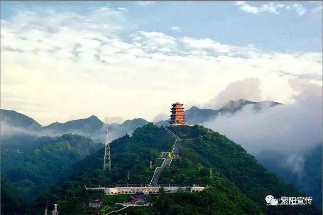 我为紫阳富硒茶代言